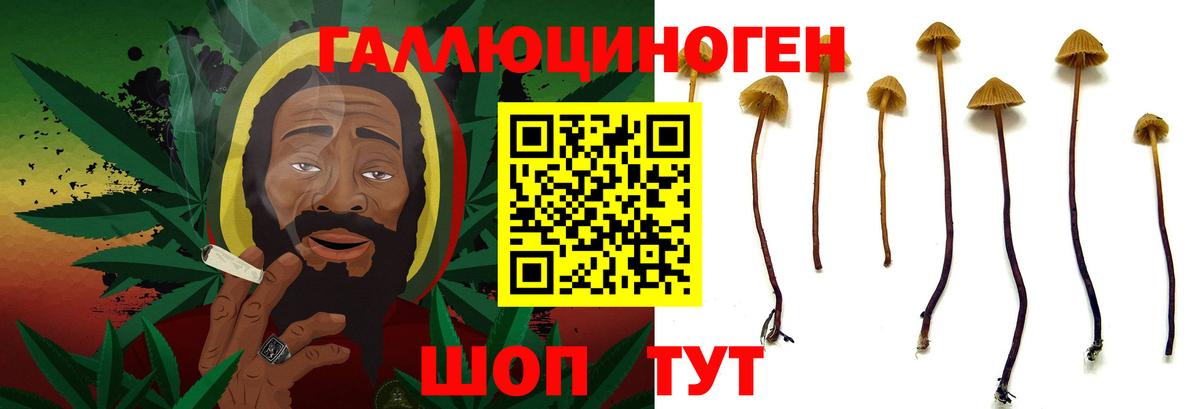продажа наркотиков  Вход с VPN  Осинники  Псилоцибиновые грибы мицелий 